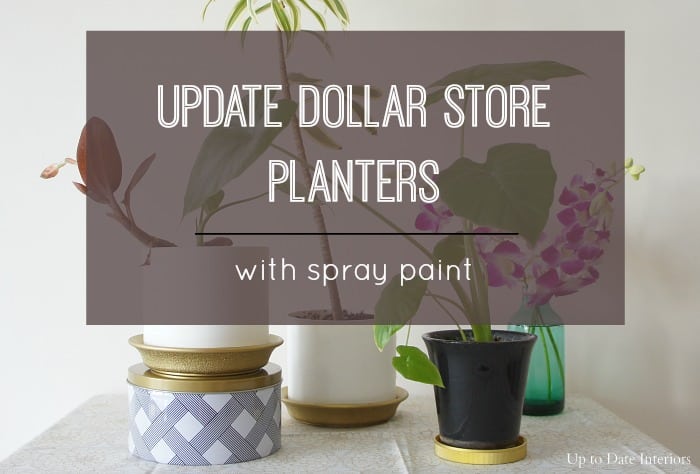 Update a Dollar Store Planter
