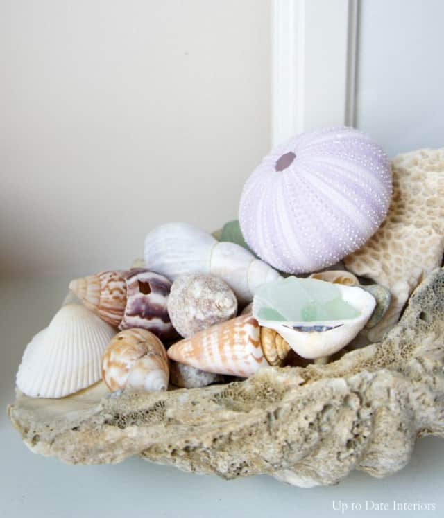 seashell decorating ideas -large shell filled with beach finds