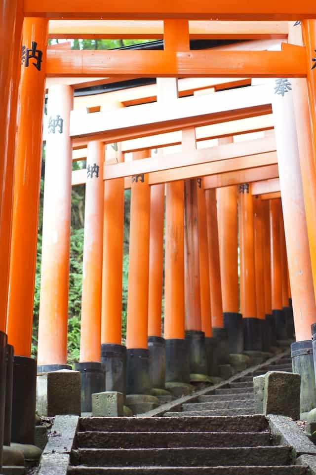 SONY DSC
