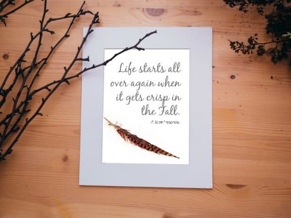 fall quote with feather