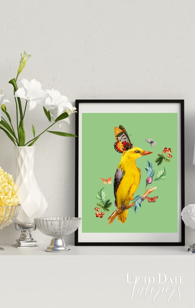 Free Printable Bird Wall Art for Your Home