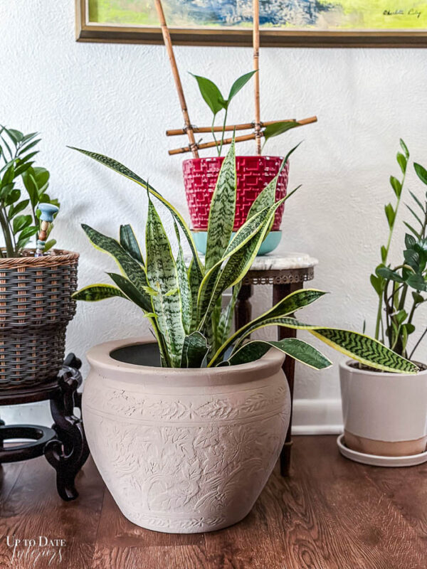 An Easy DIY Textured Paint Vase and Planter Makeover Idea